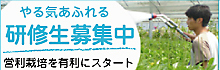 研修生募集