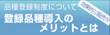 通信販売の案内